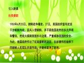统编版语文五年级下册 10 青山处处埋忠骨课件
