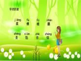 统编版语文五年级下册 14 刷子李课件