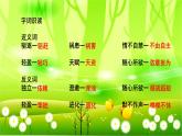 统编版语文五年级下册 23 童年的发现课件