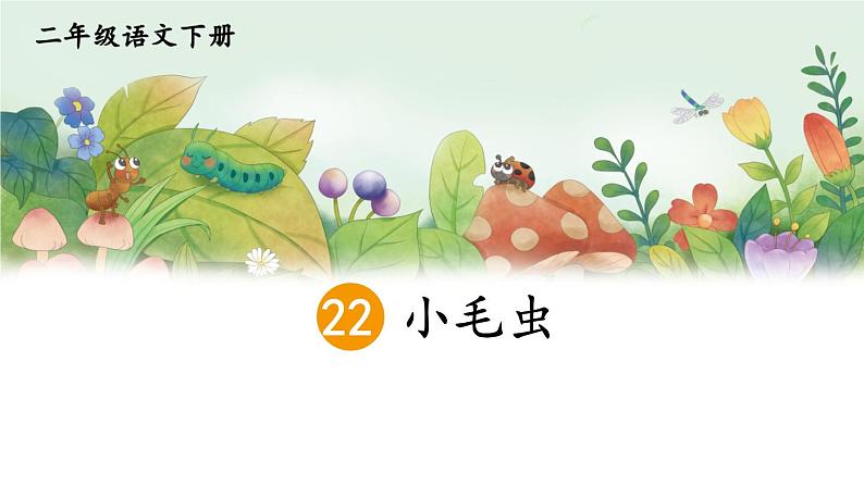 部编版小学语文二下22 小毛虫课件+教案03