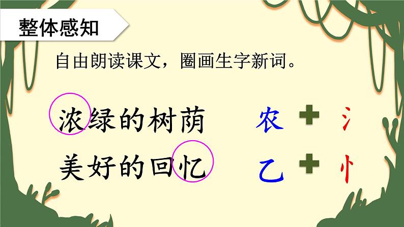 部编版小学语文二下23 祖先的摇篮课件+教案07