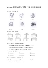 福建省泉州市石狮市2023-2024学年一年级上学期期末语文试卷