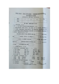 河北省沧州市青县2023-2024学年四年级上学期期末语文试卷