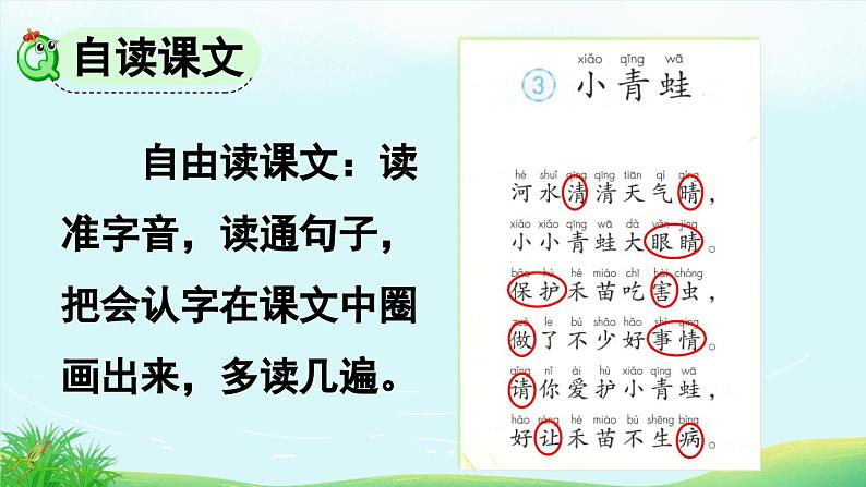 部编版小学语文1下识字3 小青蛙 课件+教案05