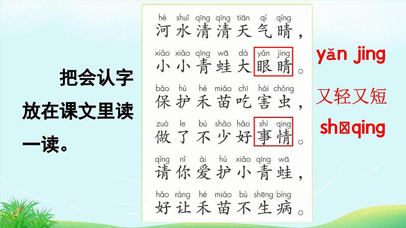 部编版小学语文1下识字3 小青蛙 课件+教案07