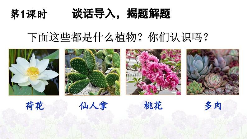 第一单元 习作：我的植物朋友 课件+教案02