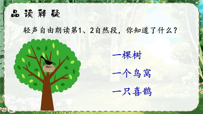 部编版小学语文一年级下册5.树和喜鹊 课件+教案06