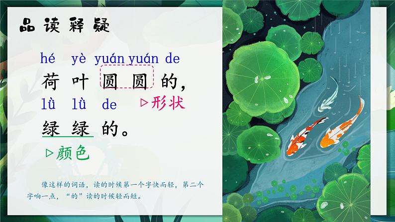 部编版小学语文一年级下册12.荷叶圆圆 课件+教案06