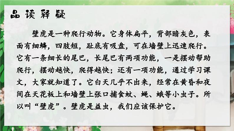 部编版小学语文一年级下册20.小壁虎借尾巴 课件+教案04