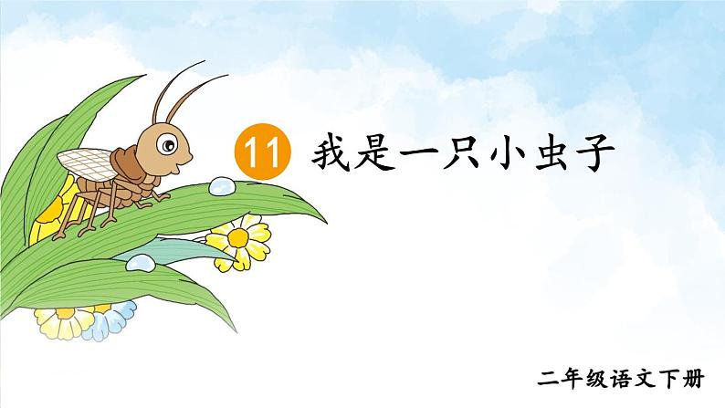 部编版小学语文二年级下册11.我是一只小虫子 课件+教案03