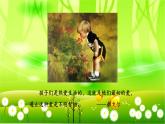 统编版语文五年级下册 23.童年的发现课件