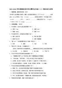 福建省泉州市石狮市2023-2024学年五年级上学期期末语文试卷