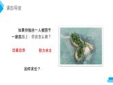 鲁滨逊漂流记PPT课件4