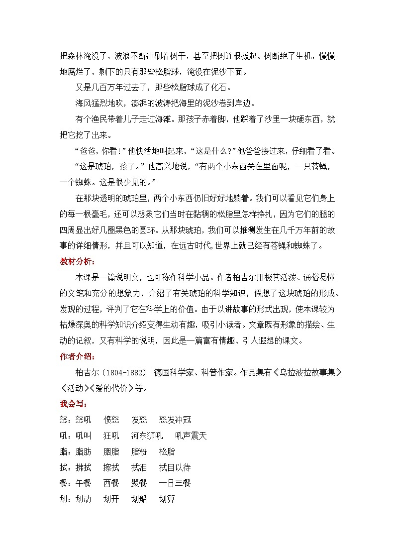 5《琥珀》知识点总结+练习-2023-2024学年语文+四年级下册（统编版）02