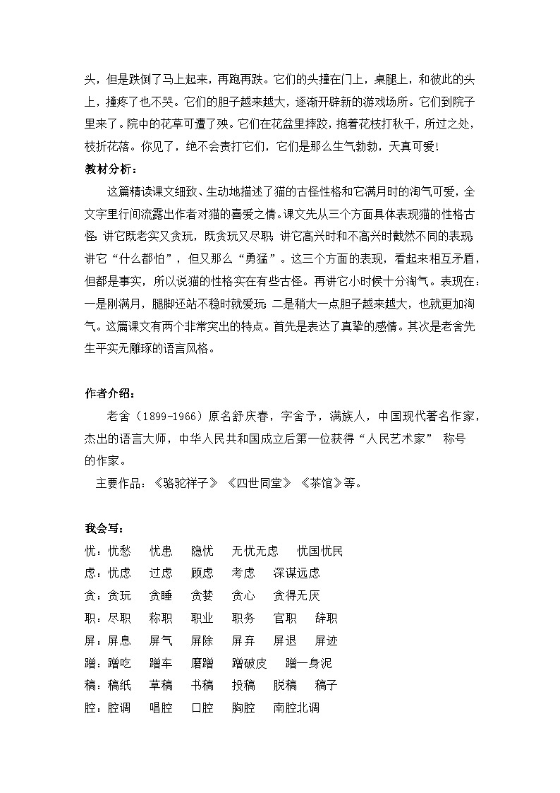 13《猫》知识点总结+练习-2023-2024学年的下半学期语文+四年级下册（统编版）02