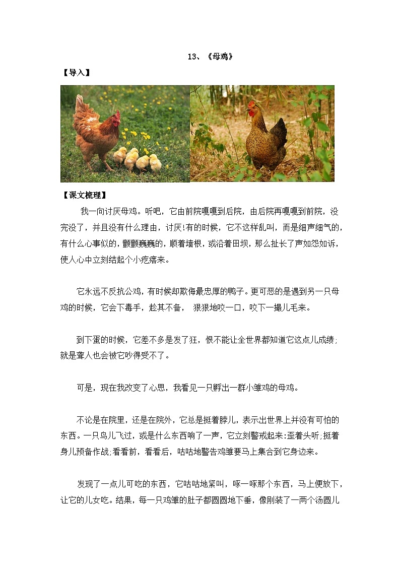 14《母鸡》知识点总结+练习-2023-2024学年的下半学期语文+四年级下册（统编版）第1页