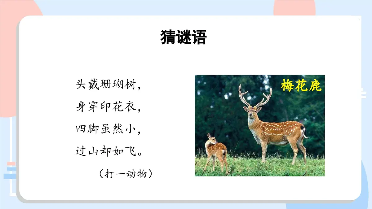 部编版语文三年级下册 第7课《鹿角和鹿腿》（第一课时） 同步课件第3页