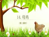 部编版语文四年级下册 第14课《母鸡》（第二课时） 同步课件+同步教案