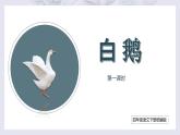 部编版语文四年级下册 第15课《白鹅》（第一课时） 同步课件+同步教案