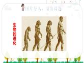统编版语文五年级下册23 童年的发现课件