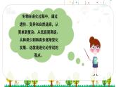 统编版语文五年级下册23 童年的发现课件