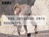 统编版语文一年级下册18 小猴子下山 课件