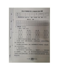 河南省南阳市南召县2023-2024学年三年级下学期开学语文试题