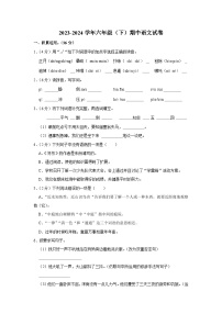 六年级下学期期中素养评价语文试题（原卷+答案与解释）2023-2024学年部编版