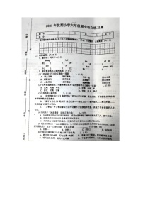 河南省南阳市南召县2021-2022学年六年级上学期期中语文试题及答案