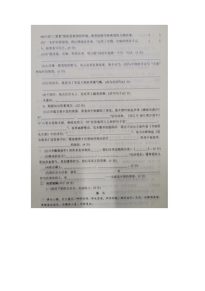 河南省南阳市南召县2023-2024学年六年级下学期开学语文试题03
