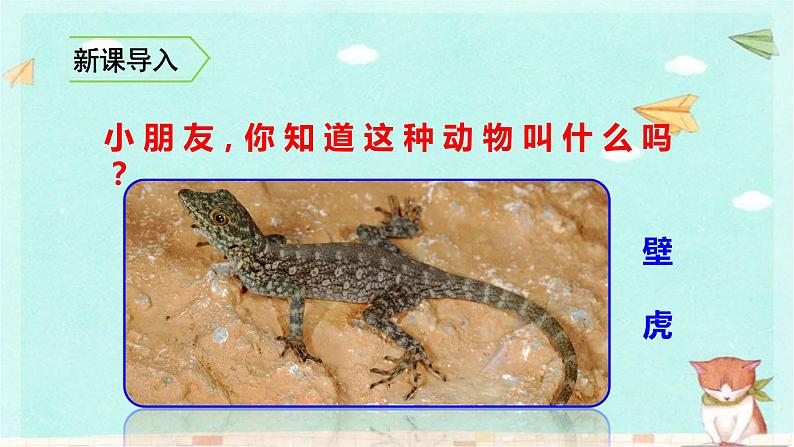 统编版语文一年级下册21 小壁虎借尾巴 课件第1页
