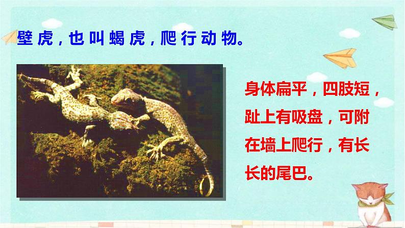 统编版语文一年级下册21 小壁虎借尾巴 课件第2页