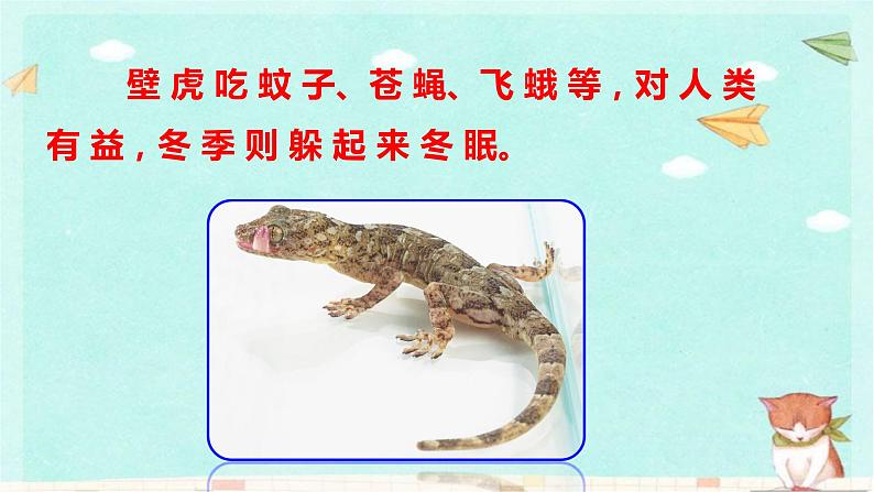 统编版语文一年级下册21 小壁虎借尾巴 课件第3页