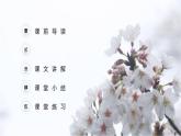 三月桃花水PPT课件1