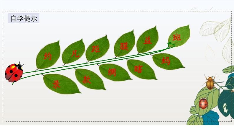 昆虫备忘录PPT课件8第6页