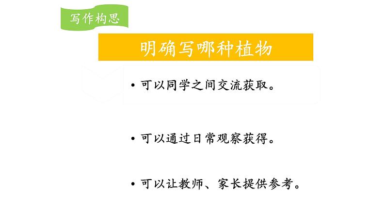 我的植物朋友PPT课件6第8页