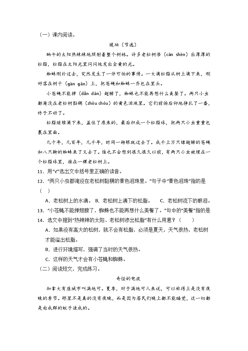 部编版四年级语文下册第5课《琥珀》同步练习题（含答案）第3页