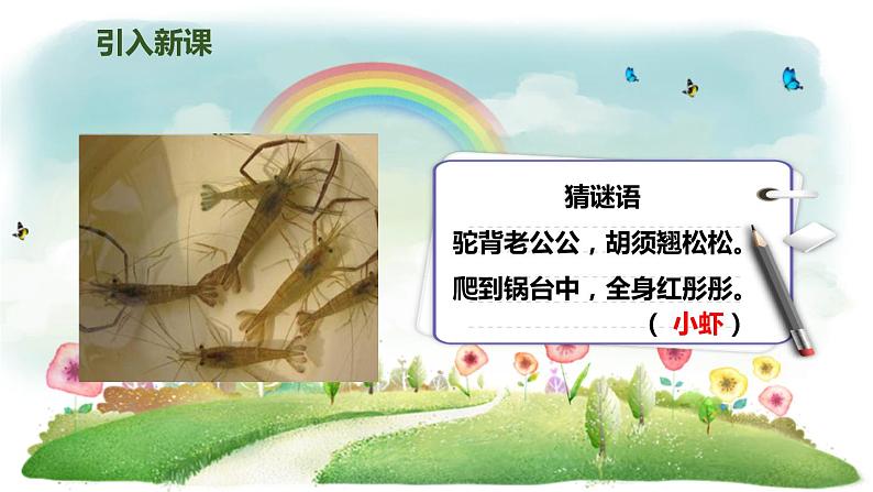 统编版语文三年级下册 15 小虾课件第2页