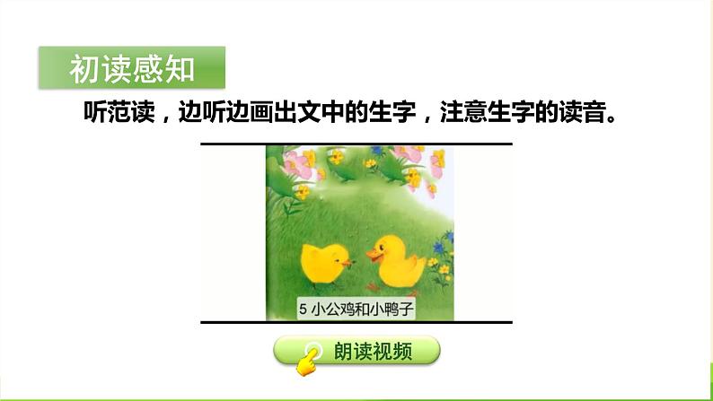 小公鸡和小鸭子PPT课件6第4页