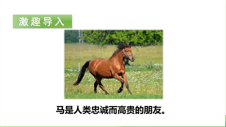 一匹出色的马PPT课件802