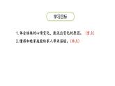 一匹出色的马PPT课件5