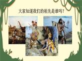 部编人教版小学语文二年级下册第八单元 23 祖先的摇篮 教学课件