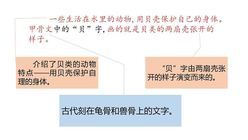 贝的故事PPT课件3第4页