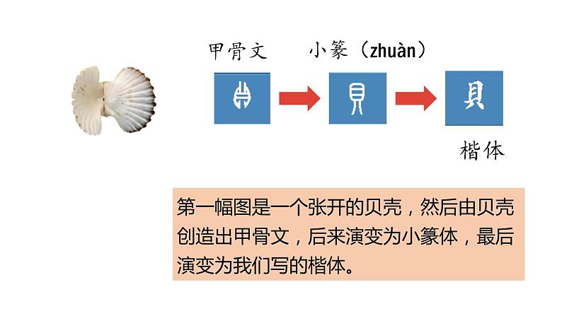 贝的故事PPT课件3第5页