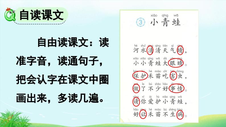 人教部编版统编版一年级下册语文识字3《小青蛙》课件05