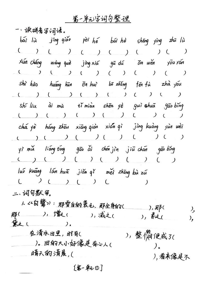 五年级上册第一单元字词句练习  手写资料01