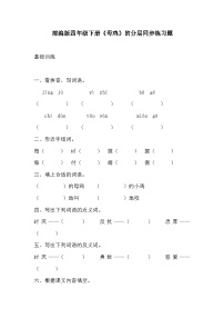 小学人教部编版母鸡课时训练