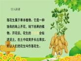 统编版语文五年级上册 落花生 课件