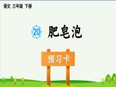 第20课肥皂泡预习课件