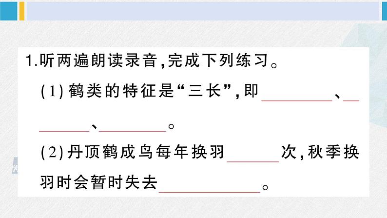 三年级语文下册 第七单元复习卡（原卷+答案+听力+讲解课件）02